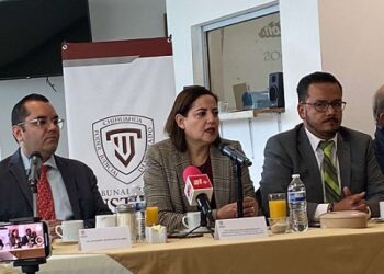 Cambian vocero en el Tsj