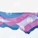 Van contra la discriminación a personas trans