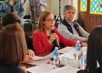 Falta cortesía política para regidores: Ana Lilia Orozco