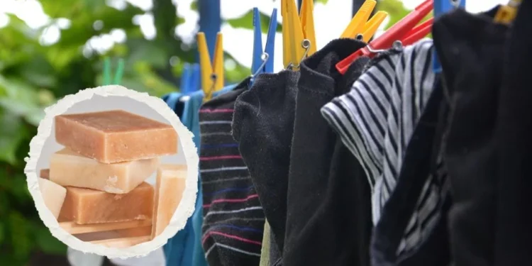 Jabones que no conocías y son mejores que el Zote para quitar manchas, según Profeco