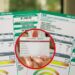 Tarjeta INAPAM: ¿En tu próximo recibo de luz obtentras descuento? Esto dice la CFE