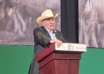 La Columna Hipótesis de Acento Noticias 