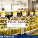 Las mejores marcas de aceite para cocinar, aprobaron las pruebas de calidad PROFECO