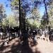Enfrentamiento en madera deja tres muertos; aseguran granada y 350 casquillos de “cuerno de chivo”