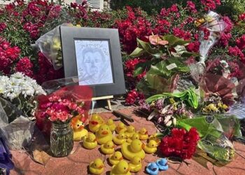 Muere tras ayudar a patitos a cruzar calle en California