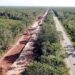 Suman 2 mil hectáreas expropiadas para el Tren Maya