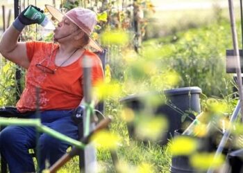 Provoca ola de calor tormentas y apagones en el sur de EU