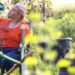 Provoca ola de calor tormentas y apagones en el sur de EU