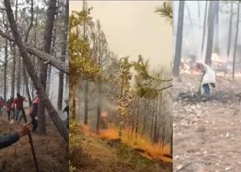 Se quema el bosque en El Largo Maderal; piden auxilio