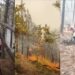 Se quema el bosque en El Largo Maderal; piden auxilio