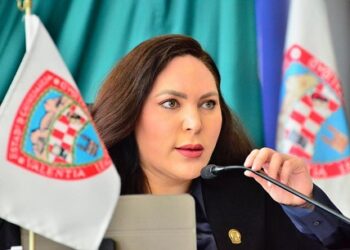 Presenta Geo Zapata reforma para acompañar el duelo de familias que padecen de muertes de hijos durante el embarazo