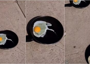 ¡Aprovechando el calor! Cocen huevo en plena banqueta de Chihuahua