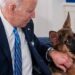 El perro que ha mordido a agentes del Servicio Secreto