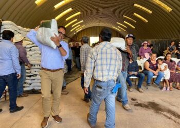 Arranca entrega de 30 mil toneladas de fertilizante gratuito en el Estado