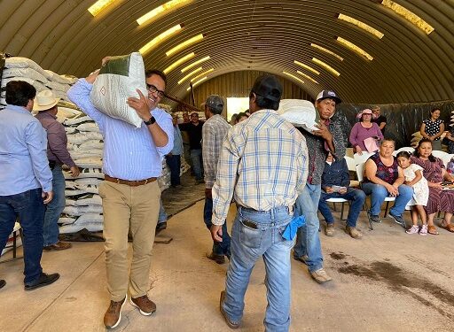 Arranca entrega de 30 mil toneladas de fertilizante gratuito en el Estado