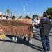 Suspenden labores en los Tribunales Federales