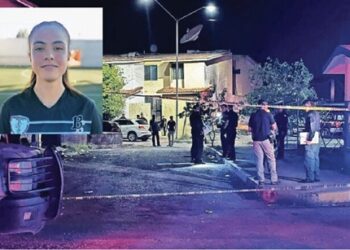 La Columna Hipótesis de Acento Noticias 