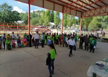 Se extiende el PVEM a la Sierra Tarahumara; eligen dirigente en Guazapares