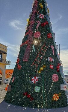Hoy es el encendido del árbol de Navidad en Ojinaga 2023