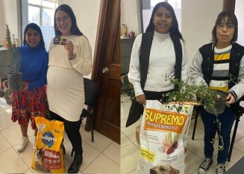 Llaman a apoyar a perritos callejeros con donación de croquetas