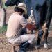 Acusan especulación sobre precios de leche