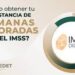 Cómo recupero semanas cotizadas del IMSS tras un retiro por desempleo