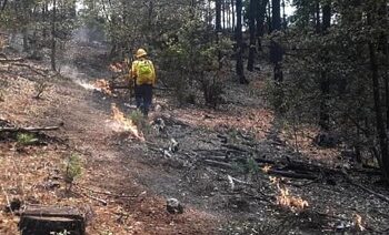 Tres incendios forestales en Chihuahua; 71 los combaten: Conafor