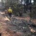 Tres incendios forestales en Chihuahua; 71 los combaten: Conafor