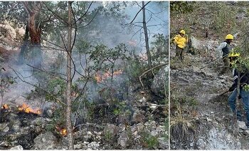 Tres incendios forestales en el estado… afectan 416 hectáreas: Conafor