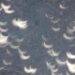 Estos son los porcentajes y horas para ver el eclipse