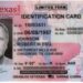 Así se puede tramitar la identificación Real ID en Texas: los requisitos y la fecha límite para pedirla