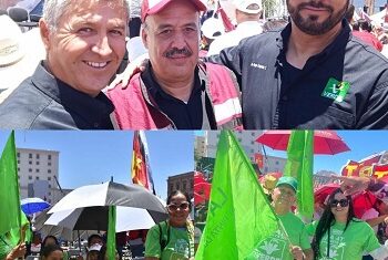 Arropan las “Camisas Verdes” del PVEM a Claudia Sheinbaum