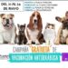 Inicio Salud Jornada de Vacunación Antirrábica Canina y Felina