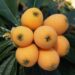 Conoce la fruta que ayuda a curar el hígado