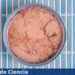Las 18 marcas de ATÚN que la PROFECO no recomienda consumir; reprobaron las pruebas