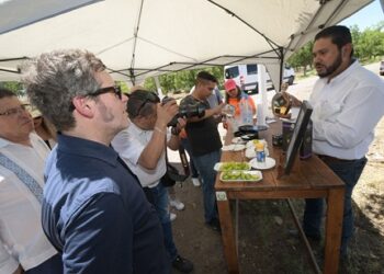 Se interesa la agencia de noticias EFE en las investigaciones del sotol que realiza la UACH.