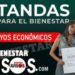 Tandas para el Bienestar 2024: requisitos y cómo obtener un crédito de hasta 20 mil pesos solo con tu palabra