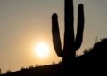 Contra el calor… todo se vale