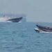 Bote de Guardia Civil “arrolló” lancha con migrantes