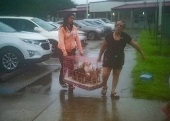 La punta de la tormenta Milton llega a tierra con fuertes vientos y lluvias