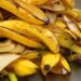 Si tienes cáscaras de plátano en casa, tienes un tesoro: 5 maneras de aprovechar este ingrediente en el día a día