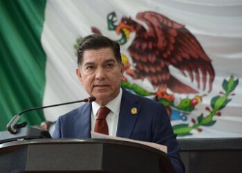 Congresos locales habremos de homologar constitución en materia de bienestar animal. Octavio Borunda por reforma federal