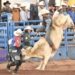 Chihuahua: Sede del Campeonato Nacional de Rodeo 2024