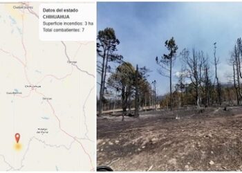 Registra Balleza incendio forestal; siete lo combaten