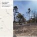 Registra Balleza incendio forestal; siete lo combaten
