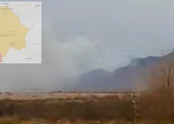 Combaten 16 brigadistas incendio forestal en Casas Grandes