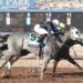 Getaway Car gana la vigésima edición del Sunland Derby