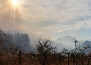 Cero combatientes en único incendio forestal del estado: Conafor