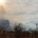 Cero combatientes en único incendio forestal del estado: Conafor