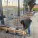 Se construyen las nuevas gradas en la Escuela Manuel Ojinaga